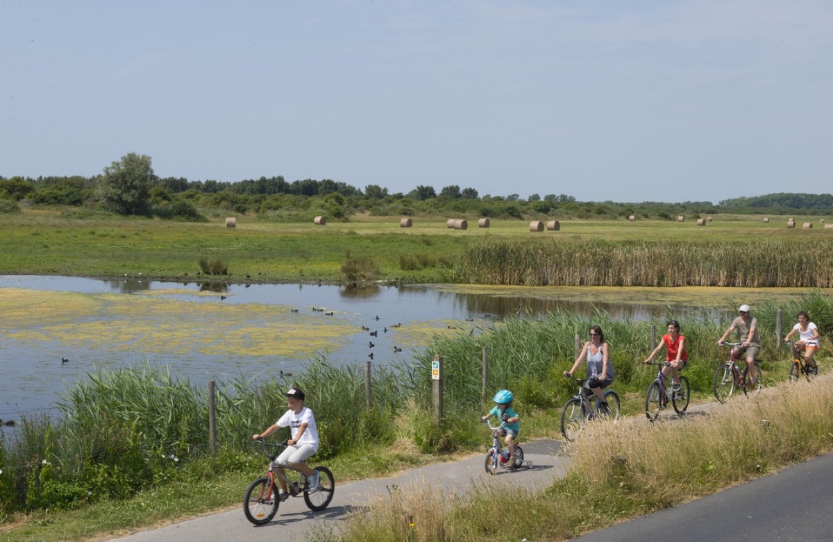 Vélo le long du littoral