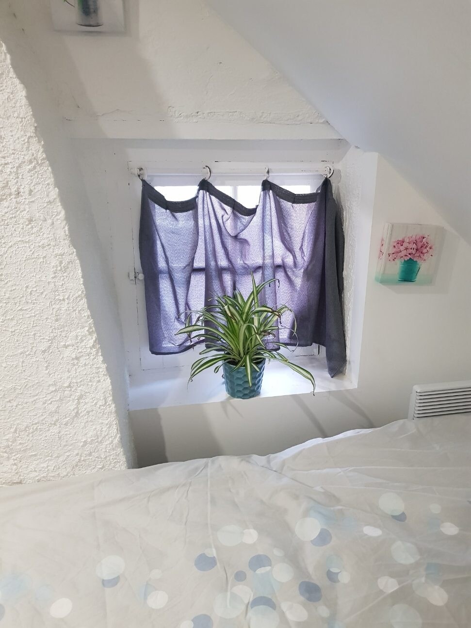 Fenêtre de la chambre