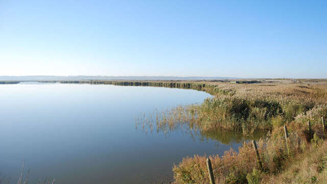 Baie de Somme
